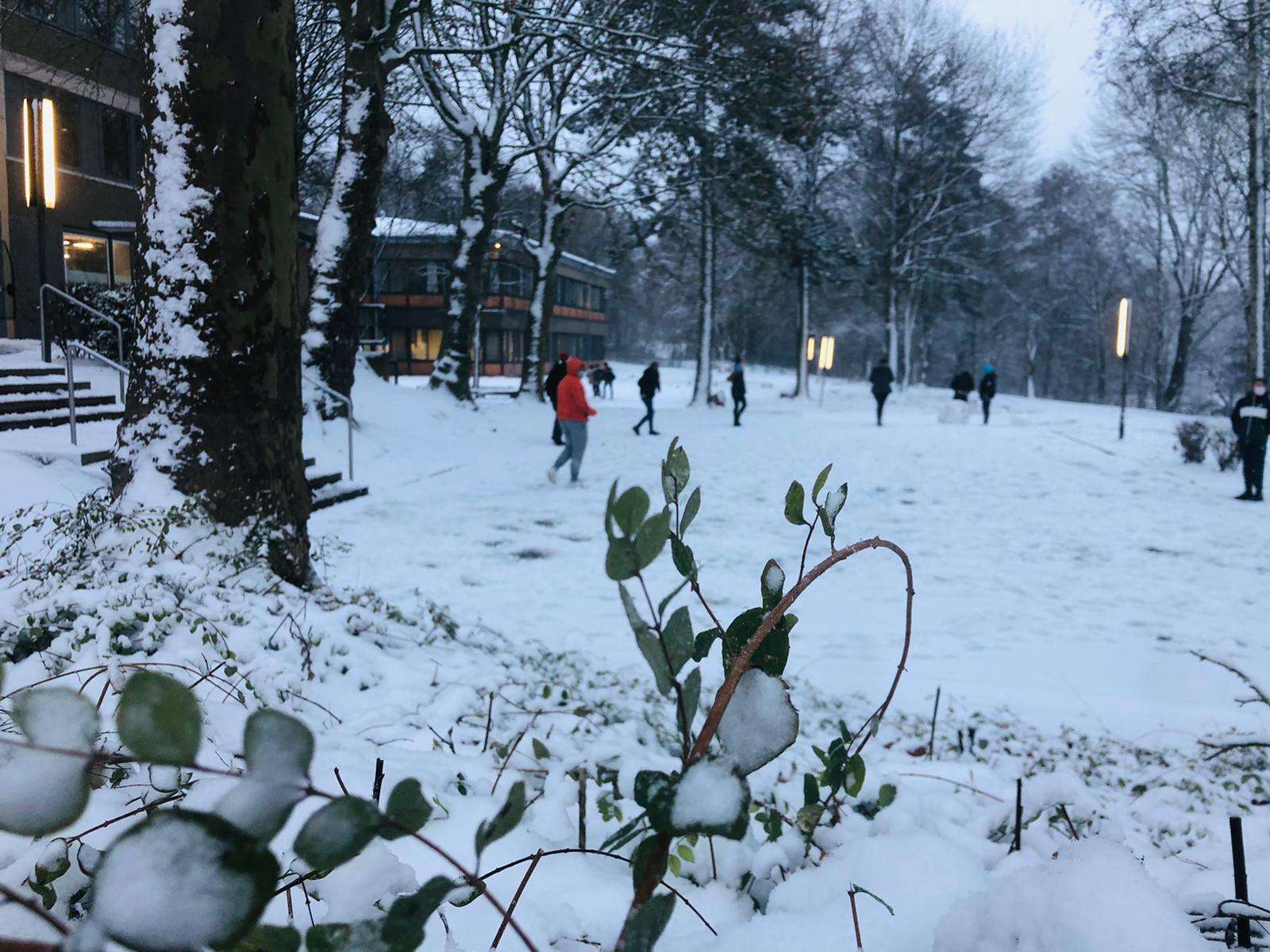 Winterliche Vorfreude an der GSM