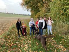  Schulhund „Balou“ an der GS Mücke